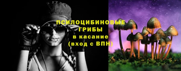 дживик Балахна