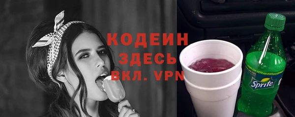 ПСИЛОЦИБИНОВЫЕ ГРИБЫ Арсеньев