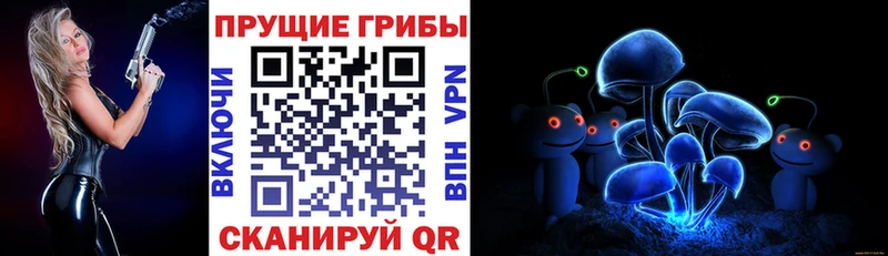 Галлюциногенные грибы Psilocybe  где купить наркоту  Ленск 